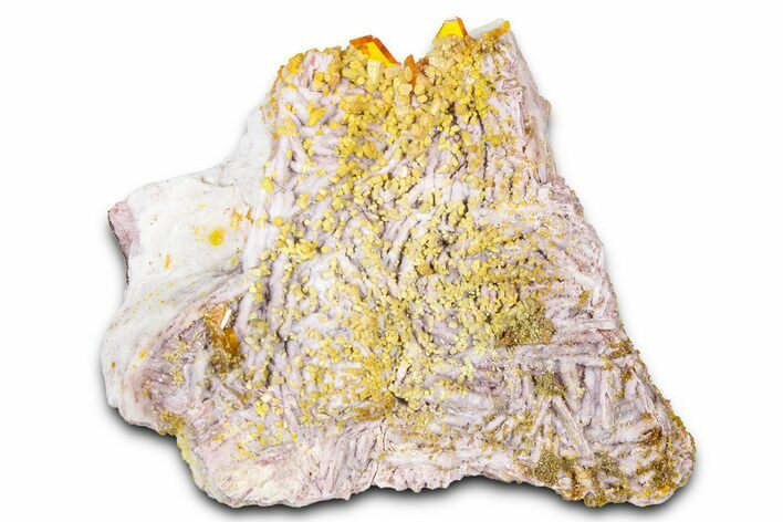 Yellow-Orange Vanadinite & Wulfenite Crystal Cluster - Arizona #368917